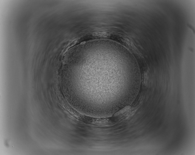 X0000099531201200805231053