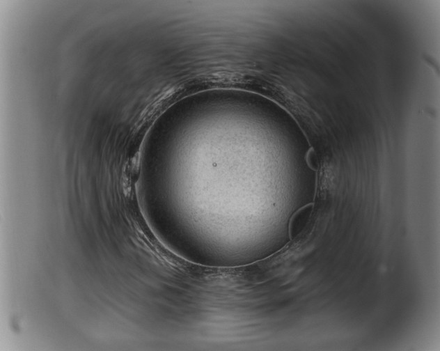 X0000099531202200805231053