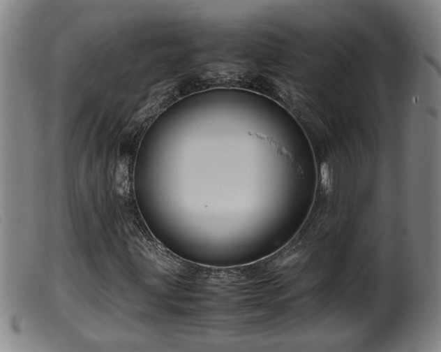 X0000099531203200805231053