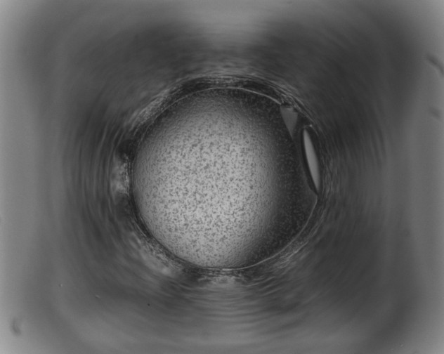 X0000099531204200805231053
