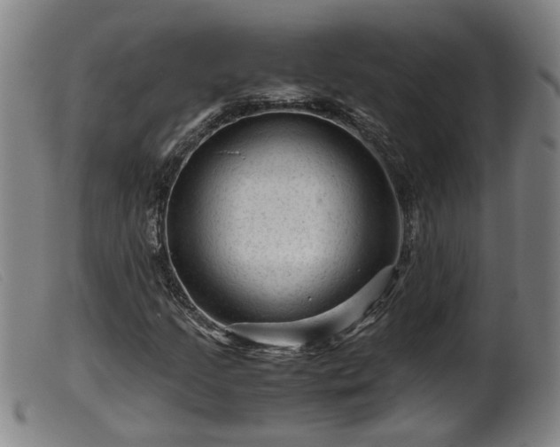 X0000099531205200805231053