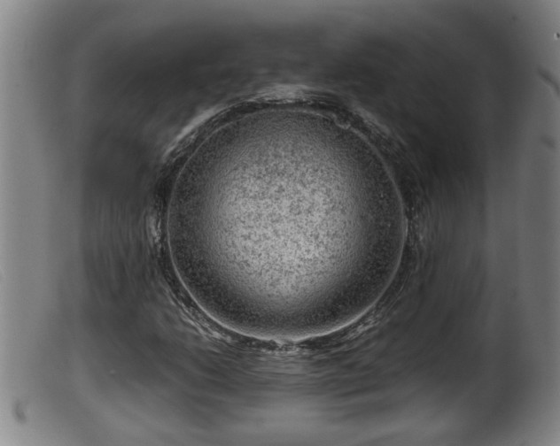 X0000099531206200805231053