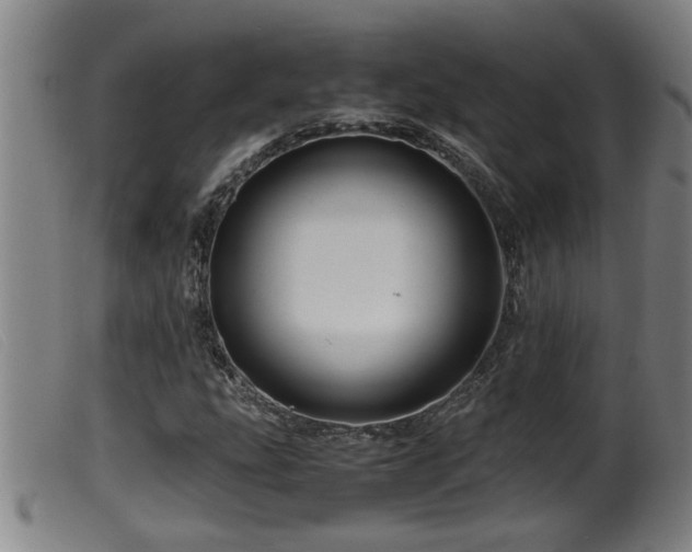 X0000099531207200805231053