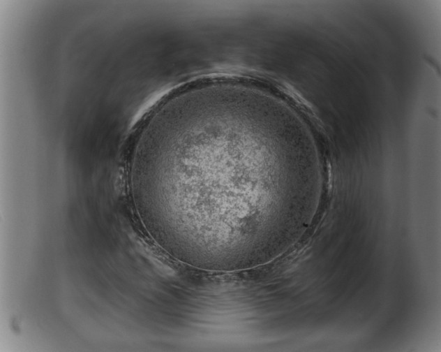 X0000099531208200805231053