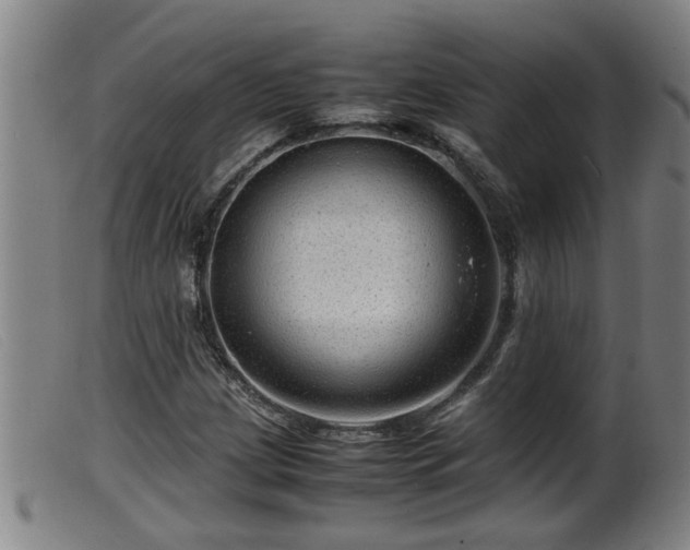 X0000099531209200805231053
