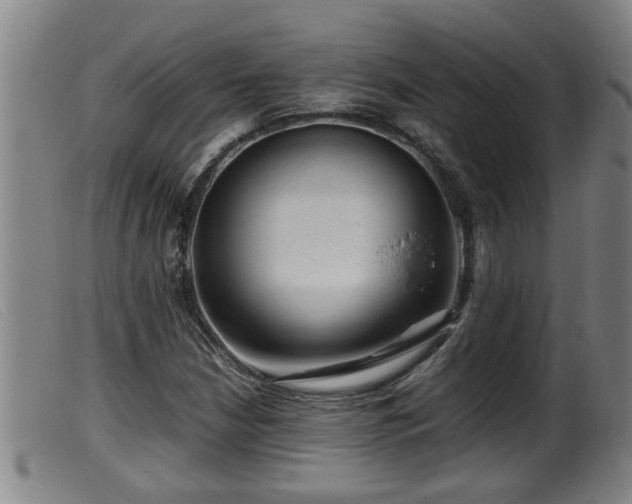 X0000099531210200805231053