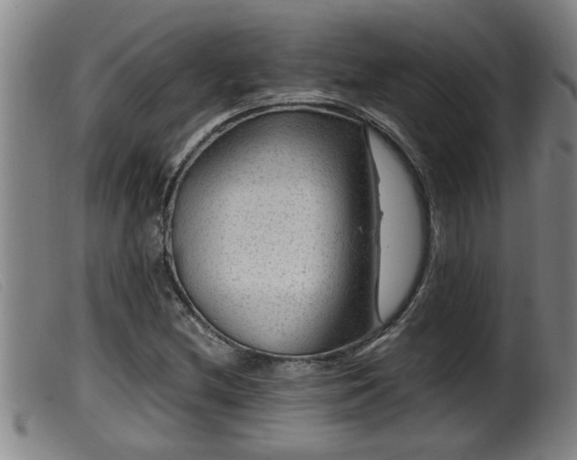 X0000099531212200805231054