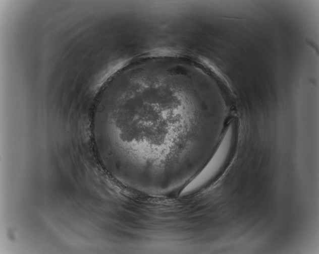X0000099531213200805231054