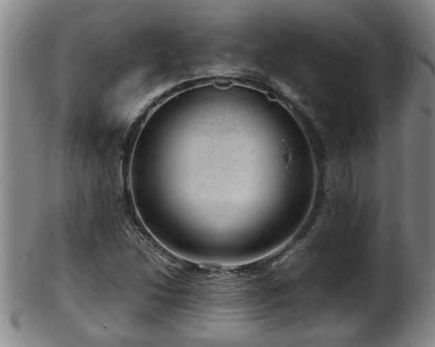 X0000099531214200805231054