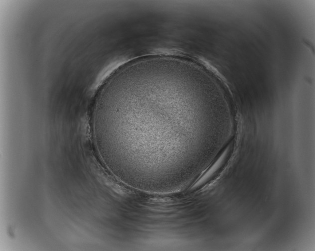 X0000099531215200805231054
