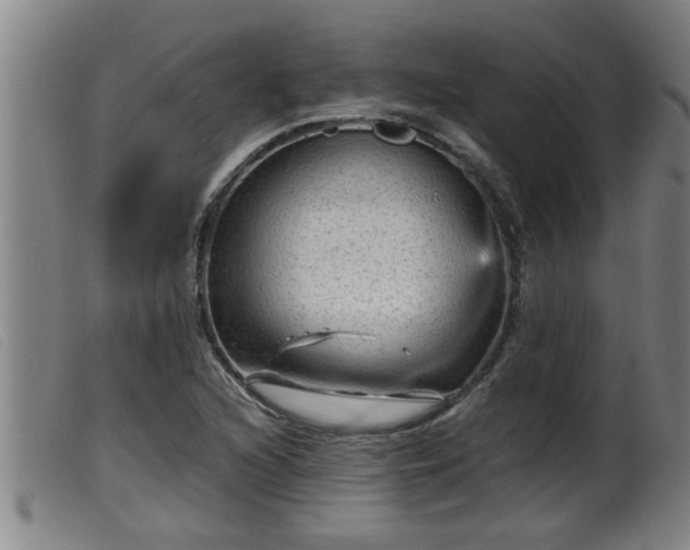 X0000099531216200805231054