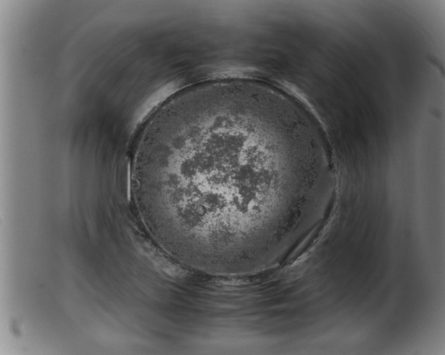 X0000099531219200805231054
