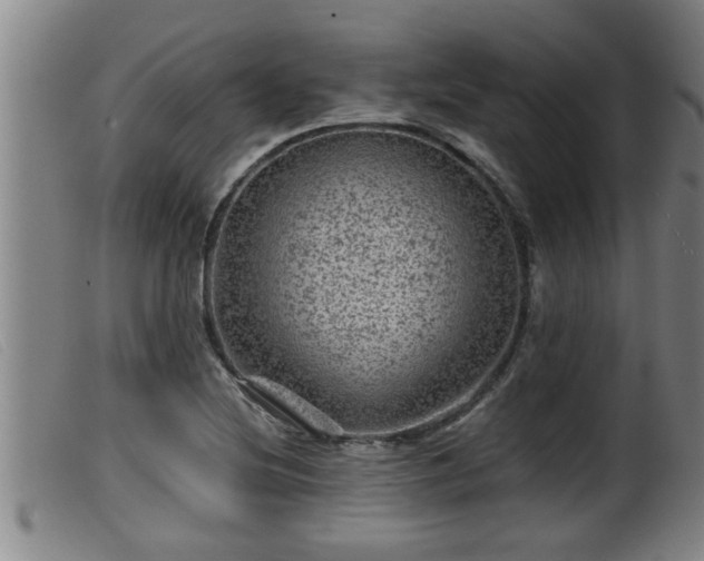 X0000099531220200805231054