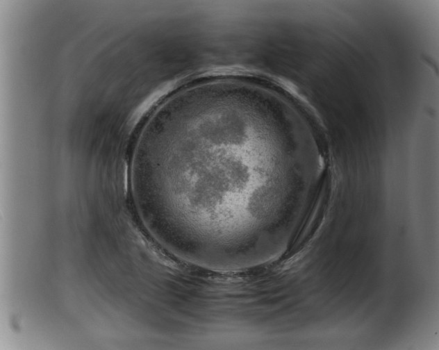 X0000099531221200805231054