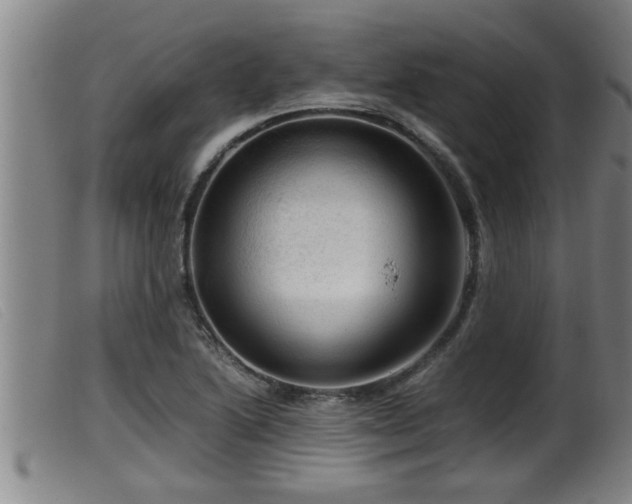 X0000099531222200805231054