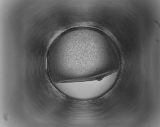 X0000099531224200805231054