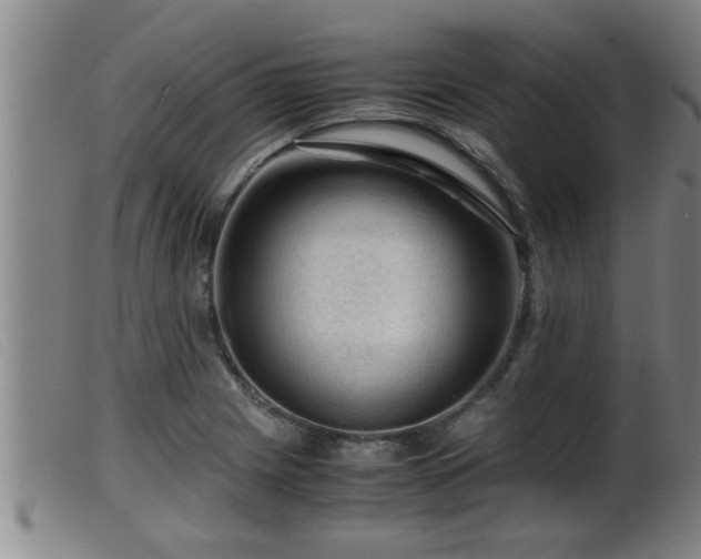 X0000099531225200805231054