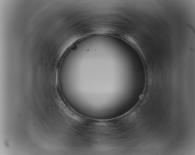 X0000099531227200805231054