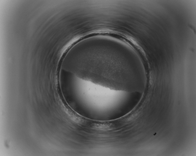 X0000099531229200805231054