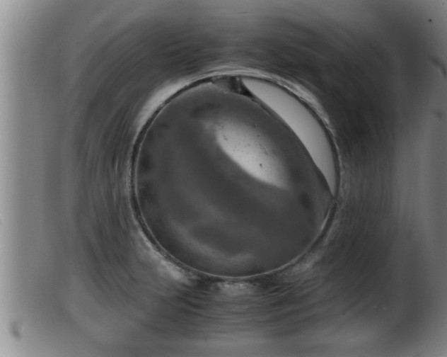 X0000099531231200805231054