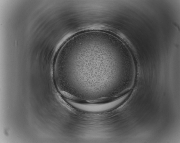 X0000099531232200805231054