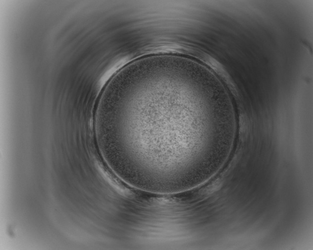 X0000099531234200805231054