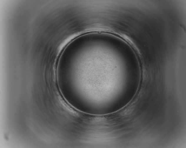 X0000099531238200805231054