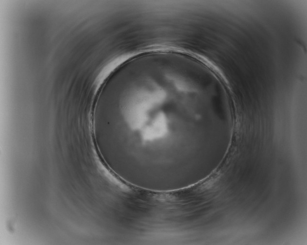 X0000099531239200805231054