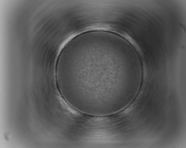 X0000099531240200805231054