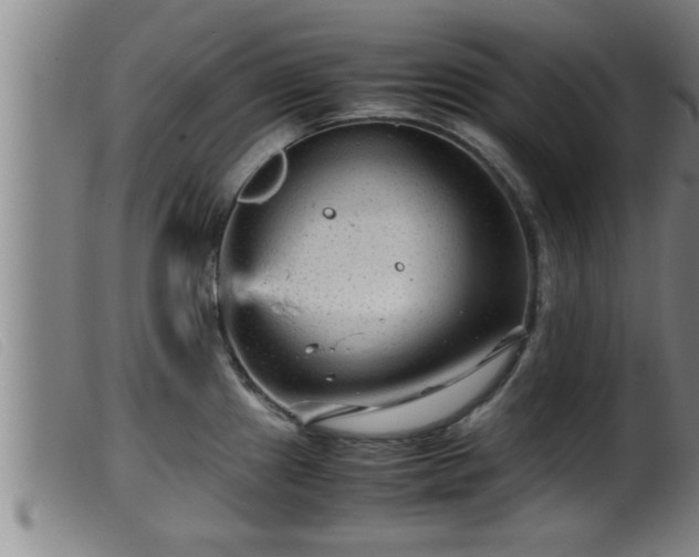 X0000099531241200805231054