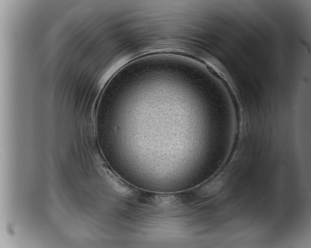 X0000099531242200805231054