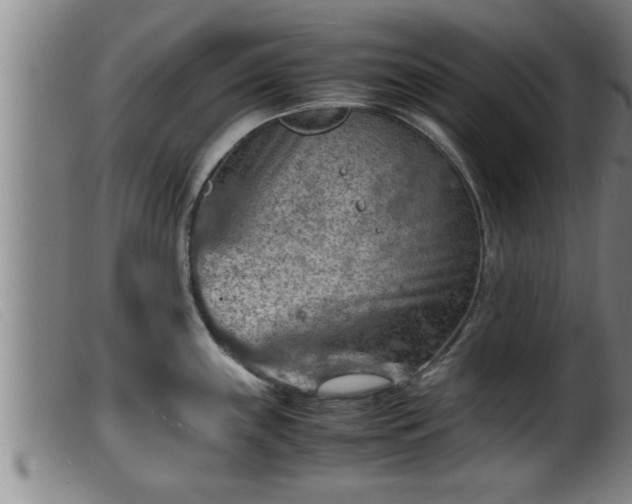 X0000099531243200805231054