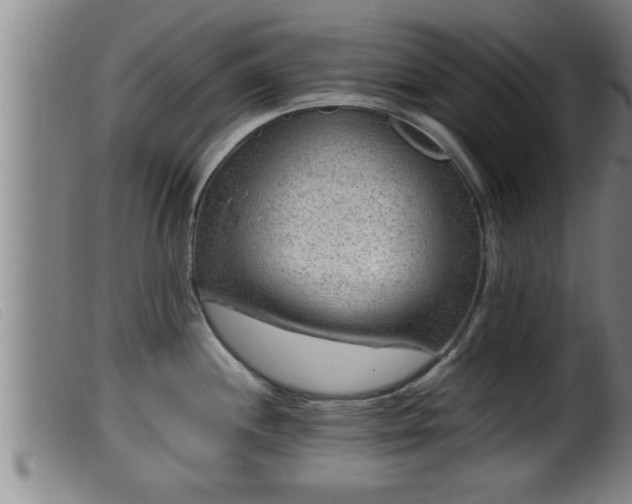 X0000099531244200805231054