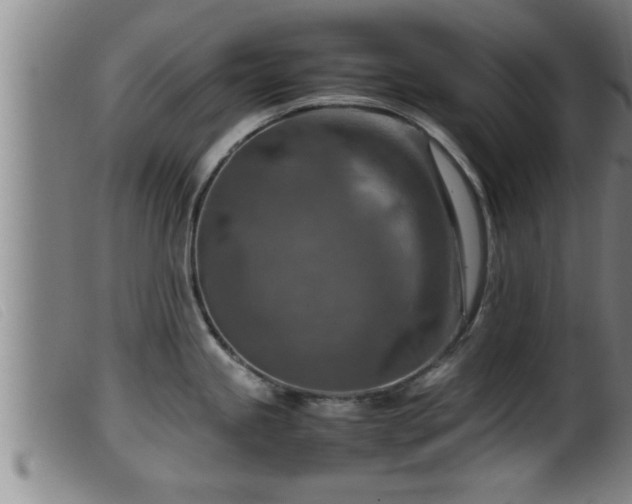 X0000099531245200805231054