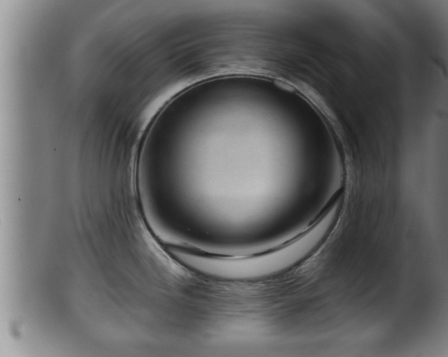 X0000099531246200805231054