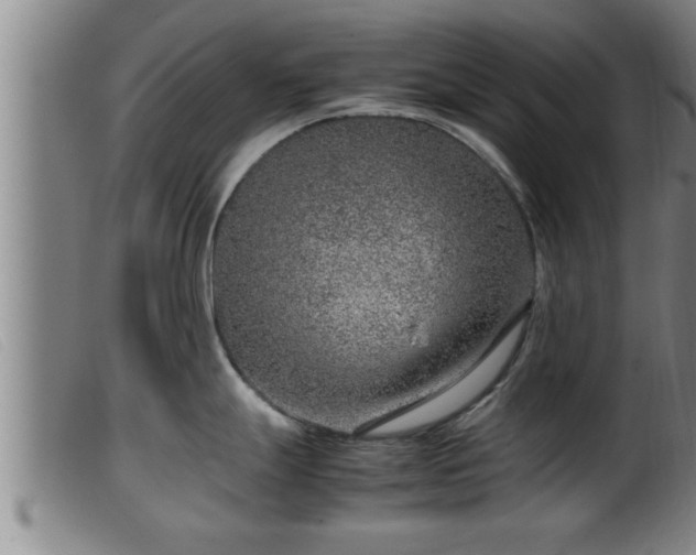 X0000099531247200805231054