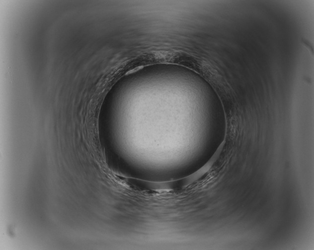 X0000099531249200805231053