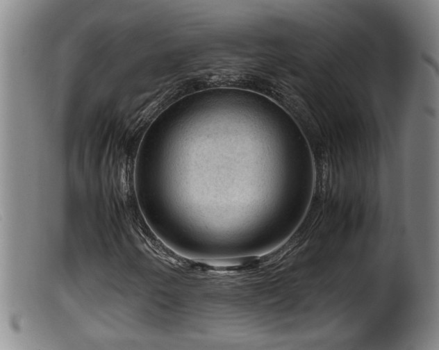 X0000099531250200805231053