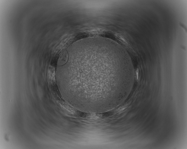 X0000099531251200805231053