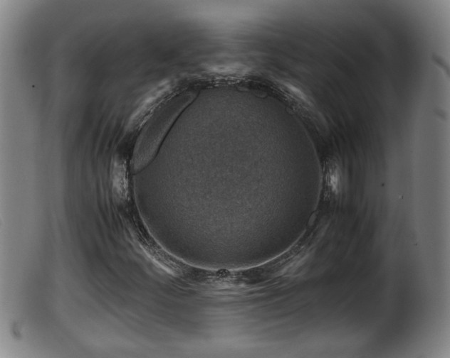 X0000099531252200805231053