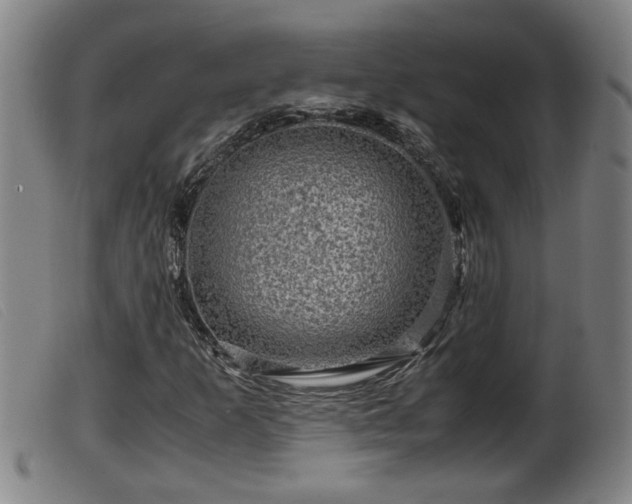 X0000099531253200805231053