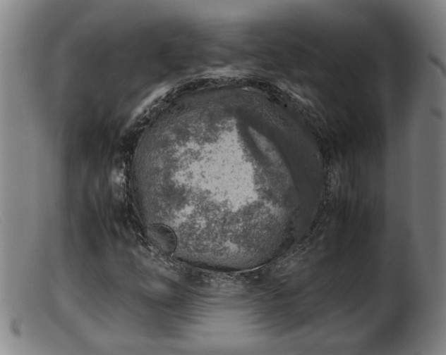 X0000099531254200805231053