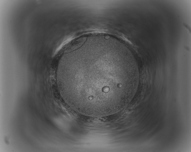 X0000099531255200805231053