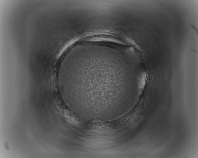 X0000099531256200805231053