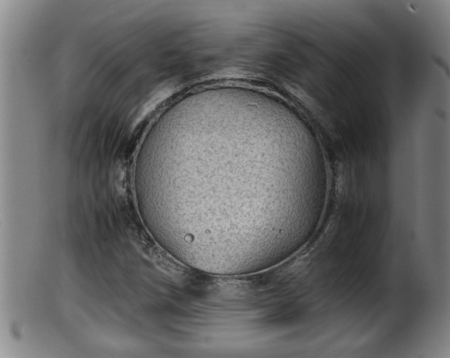 X0000099531258200805231053