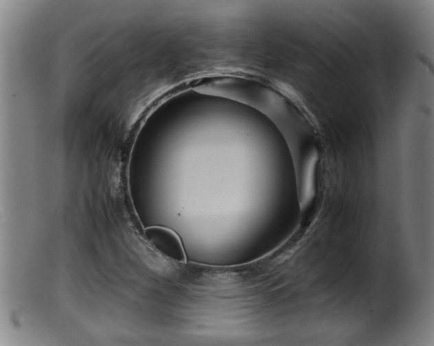 X0000099531260200805231053