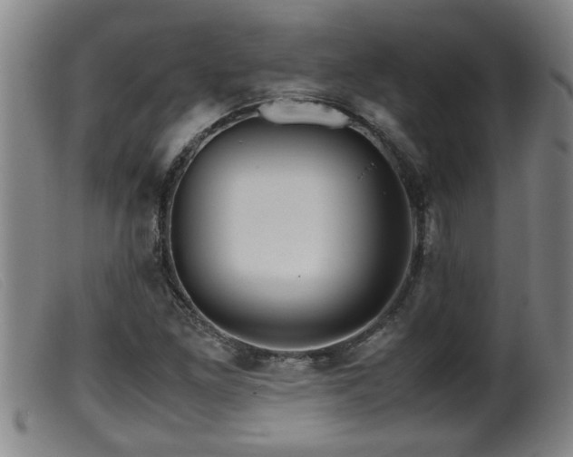 X0000099531261200805231053