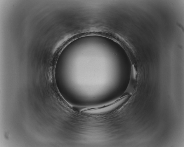 X0000099531262200805231053