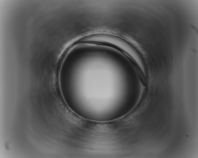 X0000099531264200805231053