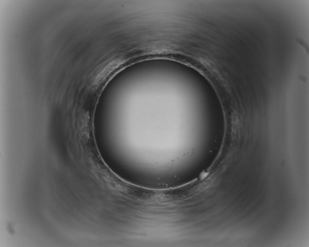 X0000099531265200805231053